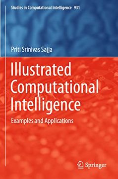 portada Illustrated Computational Intelligence: Examples and Applications (en Inglés)