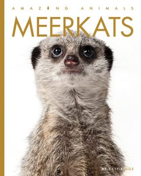 portada Meerkats (Amazing Animals) (in English)