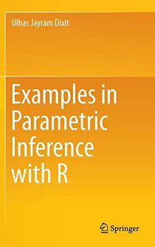 portada Examples in Parametric Inference With r (en Inglés)