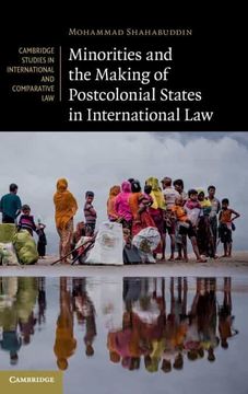 Minorities and the Making of Postcolonial States in International Law: 154 (Cambridge Studies in International and Comparative Law, Series Number 154) (en Inglés)