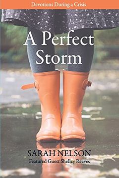 portada A Perfect Storm: Devotions During a Crisis (en Inglés)