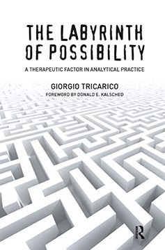 portada The Labyrinth of Possibility: A Therapeutic Factor in Analytical Practice 