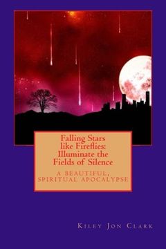 portada Falling Stars like Fireflies: Illuminate the Fields of Silence: a beautiful, spiritual apocalypse