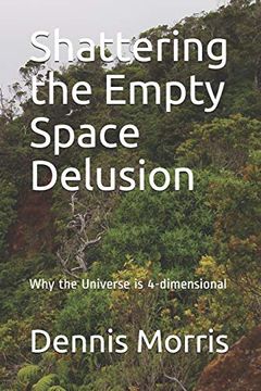 portada Shattering the Empty Space Delusion: Why the Universe is 4-Dimensional (en Inglés)