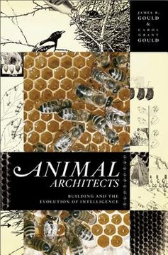 portada animal architects