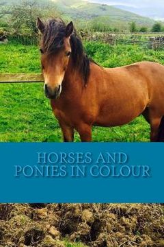 portada Horses and Ponies in Colour: Full colour photographs of various breeds of horse and pony