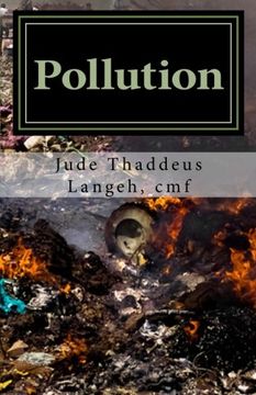portada Pollution: Une menace fulgurante dans notre environnnement. La réponse de l'Eglise (French Edition)