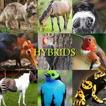portada Hybrids (en Inglés)