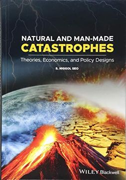 portada Natural and Man-Made Catastrophes: Theories, Economics, and Policy Designs (en Inglés)