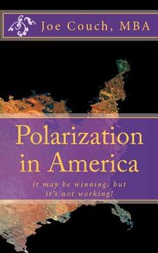 portada polarization in america (en Inglés)