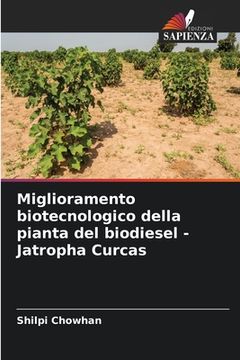 portada Miglioramento biotecnologico della pianta del biodiesel - Jatropha Curcas (en Italiano)