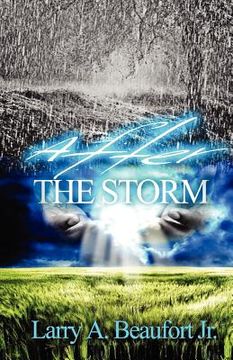 portada after the storm (en Inglés)