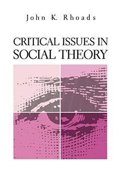 portada Critical Issues in Social Theory (en Inglés)