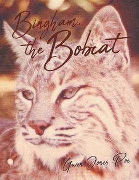 portada Bingham the Bobcat