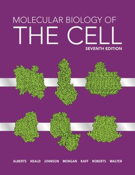Libro Molecular Biology of the Cell (en Inglés) De Bruce Alberts