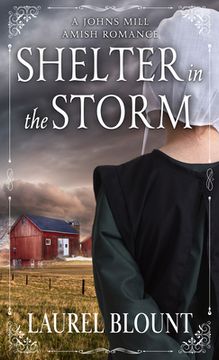portada Shelter in the Storm (en Inglés)