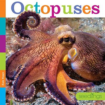 portada Seedlings: Octopuses