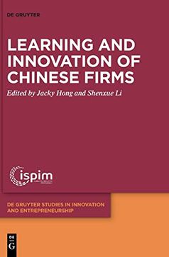 portada Learning and Innovation of Chinese Firms (en Inglés)
