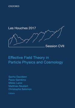 portada Effective Field Theory in Particle Physics and Cosmology: Lecture Notes of the les Houches Summer School: Volume 108, July 2017 (en Inglés)