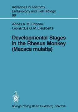 portada developmental stages in the rhesus monkey (macaca mulatta) (en Inglés)