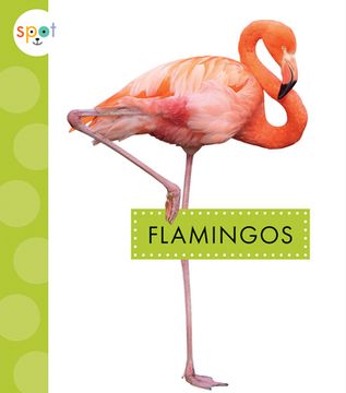 portada Flamingos (en Inglés)