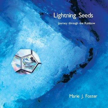 portada Lightning Seeds: Journey Through the Rainbow (en Inglés)