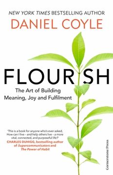 Flourish. The Art of Building Meaning, Joy and Fulfilment (en Inglés)