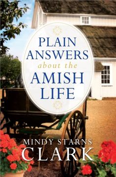 portada Plain Answers About the Amish Life (en Inglés)