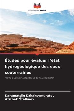portada Études pour évaluer l'état hydrogéologique des eaux souterraines (en Francés)