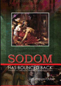 portada Sodom has Bounced Back: A Response to Contemporary Challenges Faced by Young Christians (en Inglés)