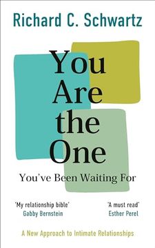 portada Kvister you are the one You’Ve Been Waiting For: A new Approach to Intimate Relationships With the Internal Family Systems Model (in English)