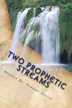 portada Two Prophetic Streams: ''the Prophet and the Seer'' (en Inglés)