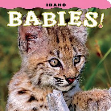 portada Idaho Babies! (en Inglés)