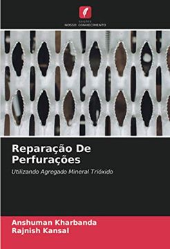 portada Reparação de Perfurações: Utilizando Agregado Mineral Trióxido (in Portuguese)