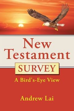 portada New Testament Survey: A Bird's-Eye View (in English)