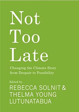 portada Not too Late: Changing the Climate Story From Despair to Possibility (en Inglés)