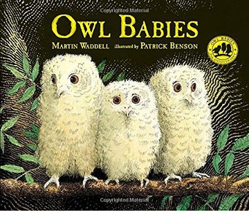 portada Owl Babies (en Inglés)