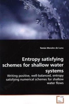 portada Entropy satisfying schemes for shallow water systems: Writing positive, well-balanced, entropy satisfying numerical schemes for shallow water flows
