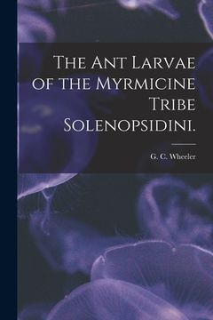 portada The Ant Larvae of the Myrmicine Tribe Solenopsidini. (en Inglés)