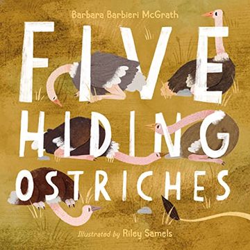 portada Five Hiding Ostriches (in English)