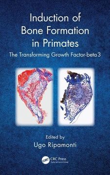 portada Induction of Bone Formation in Primates: The Transforming Growth Factor-Beta 3 (en Inglés)