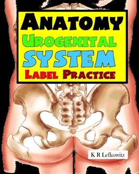 portada Anatomy Urogenital System Label Practice