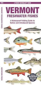 portada Vermont Freshwater Fishes: A Waterproof Folding Guide to Native and Introduced Species (Pocket Naturalist Guide) (en Inglés)