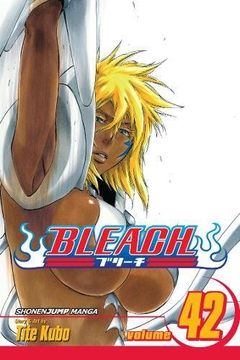 portada Bleach, Volume 42 (in English)
