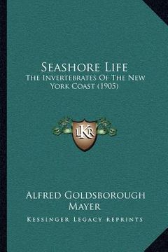 portada seashore life: the invertebrates of the new york coast (1905) (en Inglés)