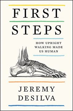 portada First Steps: How Upright Walking Made us Human (in English)