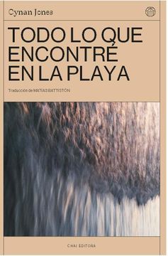 portada TODO LO QUE ENCONTRE EN LA PLAYA (in Spanish)
