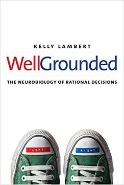 portada Well-Grounded: The Neurobiology of Rational Decisions (en Inglés)