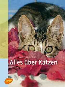 portada Alles Über Katzen (en Alemán)