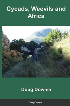 portada Cycads, Weevils, and Africa (en Inglés)